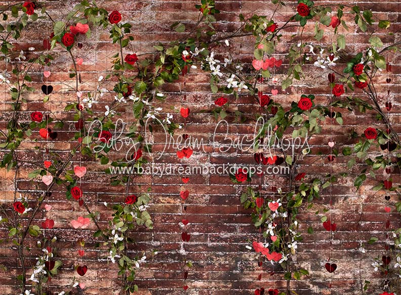 Urban Rose Wall Hearts