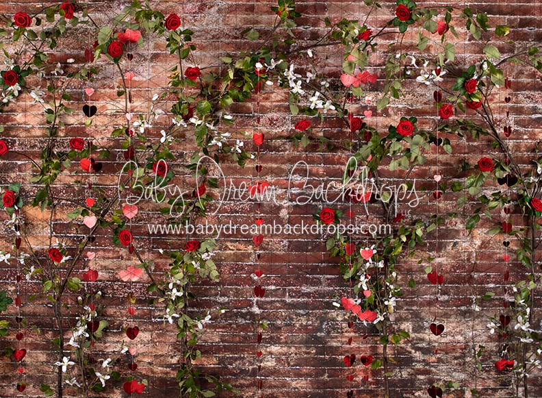 Urban Rose Wall Hearts