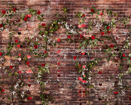 Urban Rose Wall Hearts