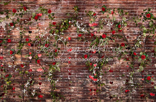 Urban Rose Wall Hearts