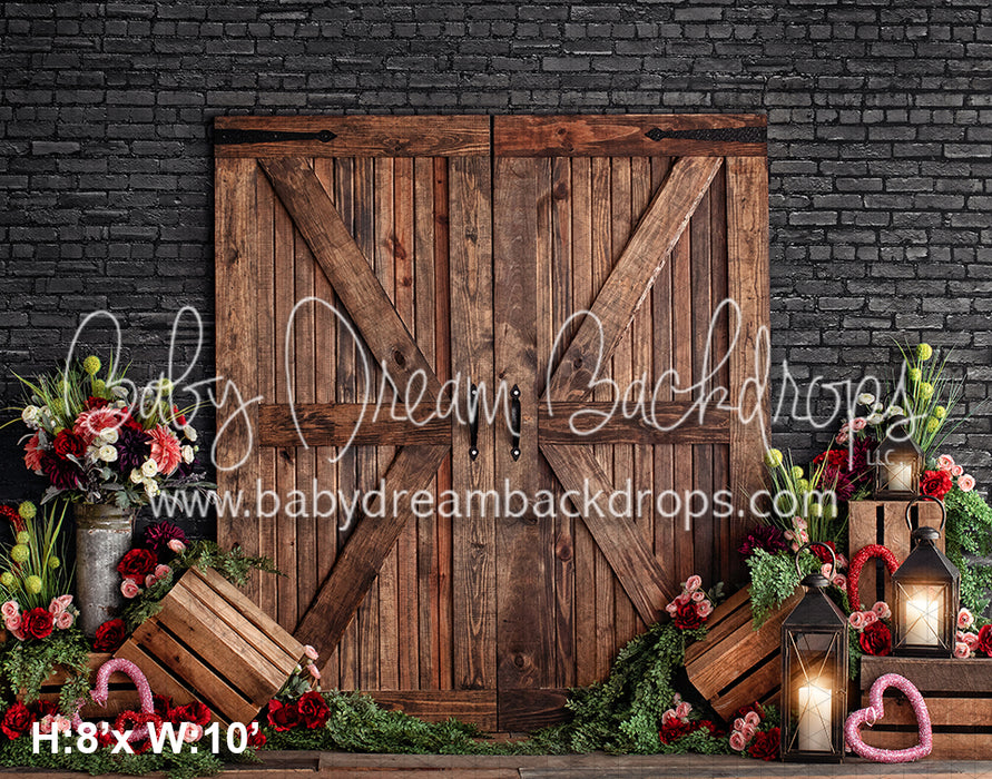 Valentine Barn Doors (VR)
