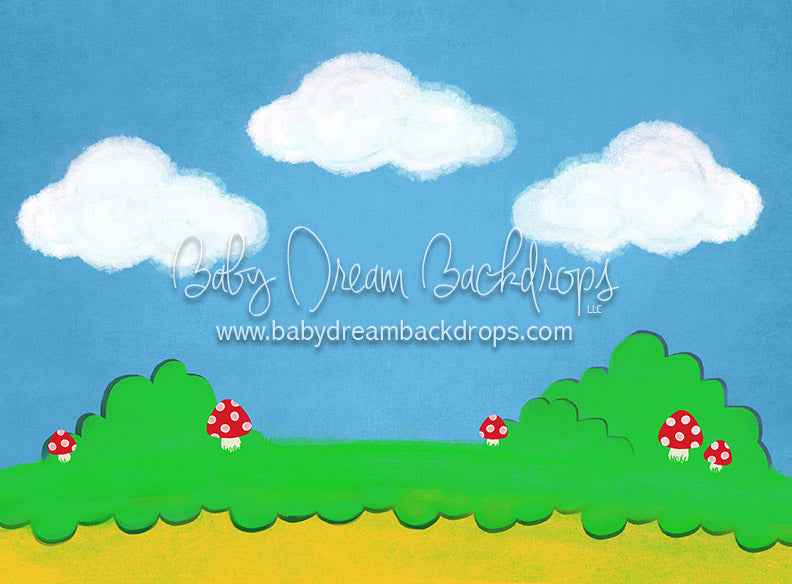 Video Landscape - 6x8 - CC  