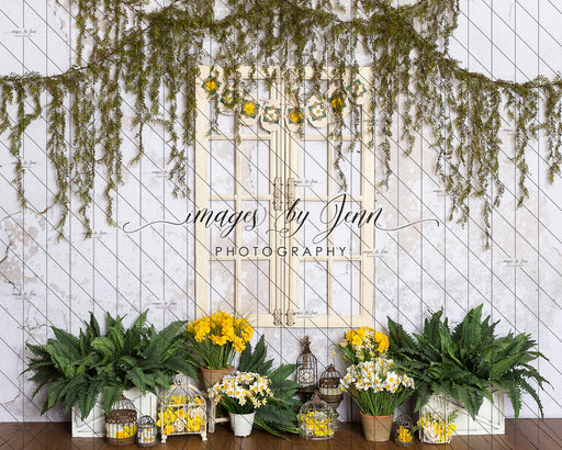 View of Daffodils (JG)