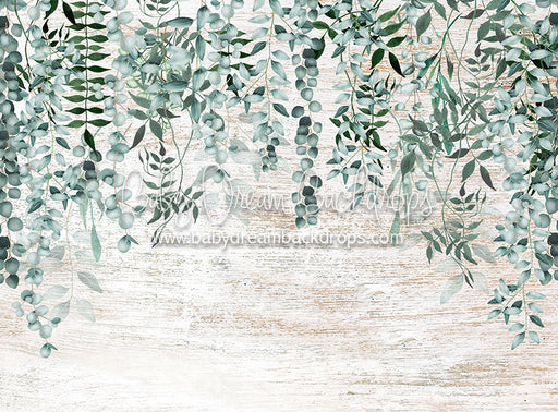 Vine Falls White Wash - 6x8 - CC  