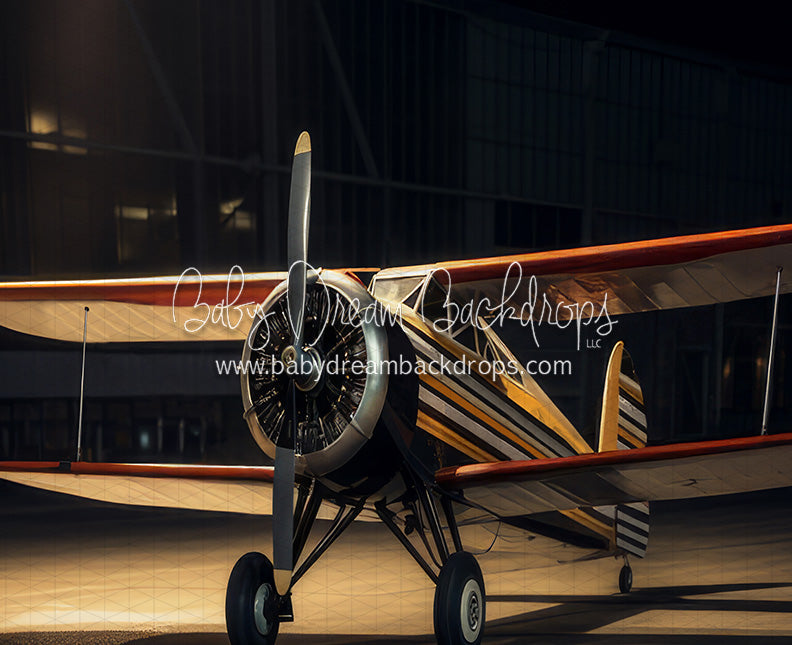 Vintage Air Show (JA)