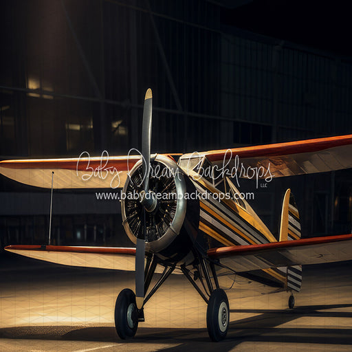 Vintage Air Show (JA)