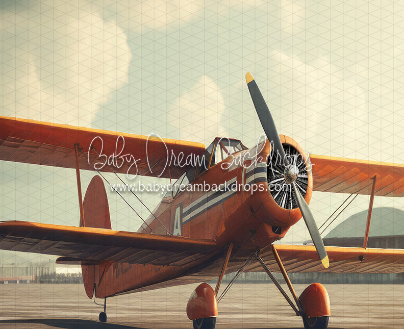 Vintage Air Show Outdoor (JA)