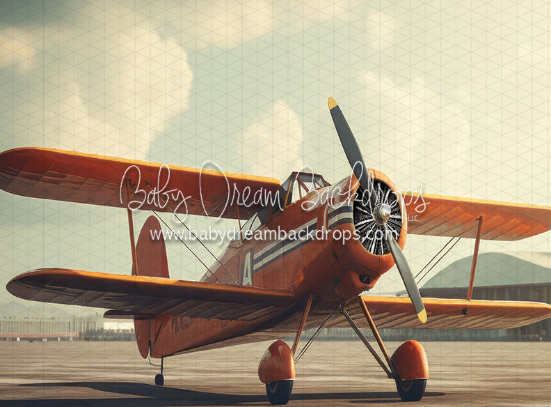 Vintage Air Show Outdoor (JA)