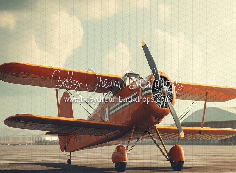 Vintage Air Show Outdoor (JA)