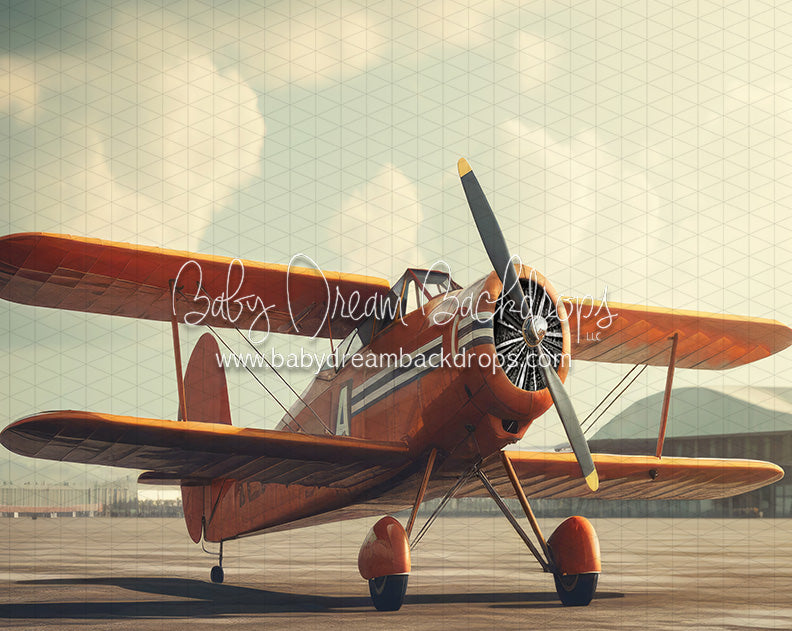 Vintage Air Show Outdoor (JA)