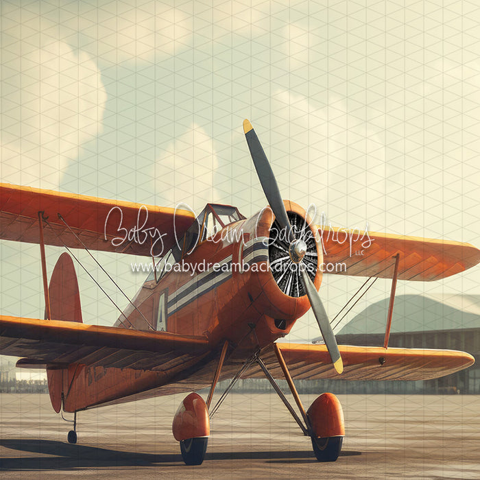 Vintage Air Show Outdoor (JA)