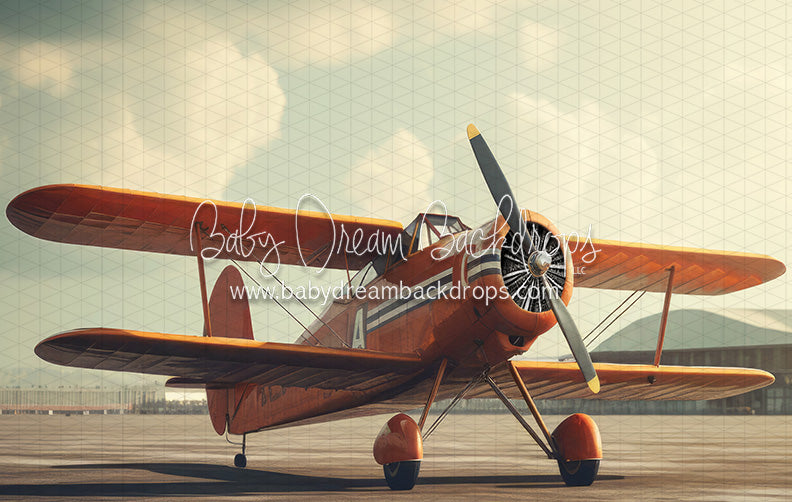 Vintage Air Show Outdoor (JA)