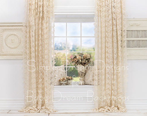 Vintage Lace Window