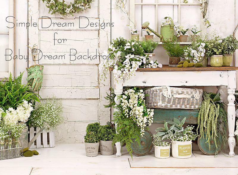 Products – Baby Dream Backdrops