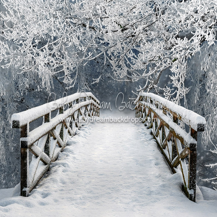 X Drop wander thru winter