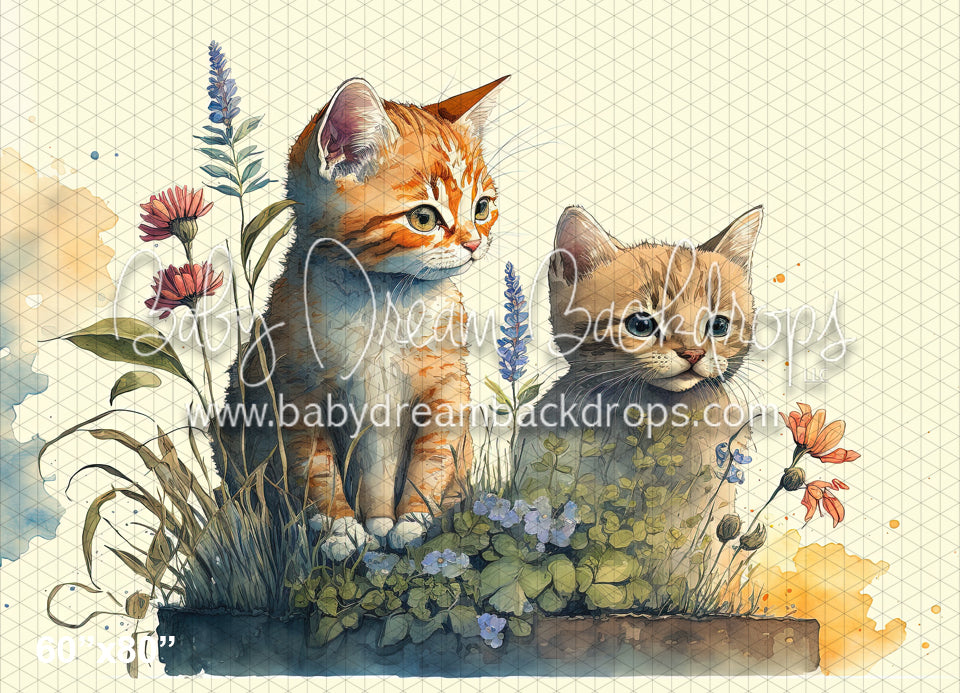 Watercolor Kittens (MD)
