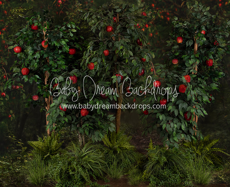 Welcome to the Orchard Trees