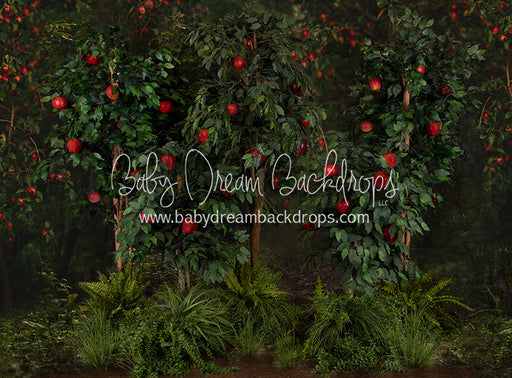 Welcome to the Orchard Trees