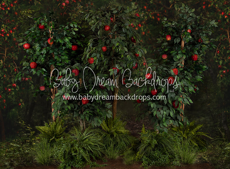 Welcome to the Orchard Trees