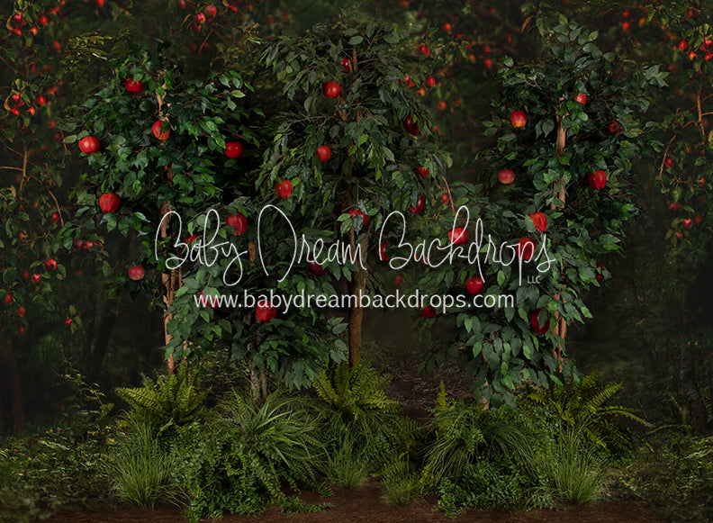 Welcome to the Orchard Trees