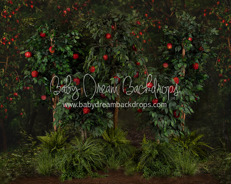 Welcome to the Orchard Trees
