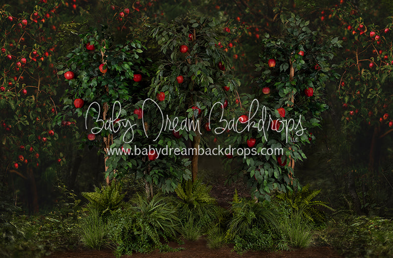 Welcome to the Orchard Trees