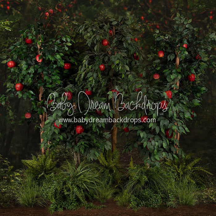 X Drop welcome to the orchard trees