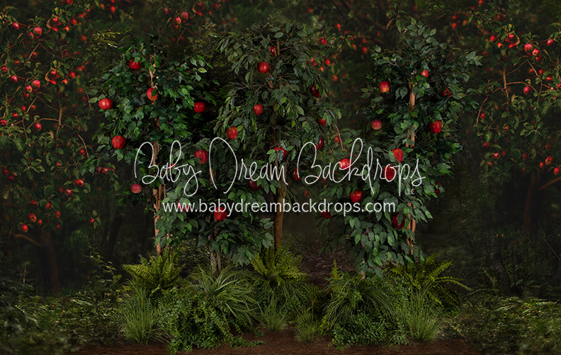 Welcome to the Orchard Trees