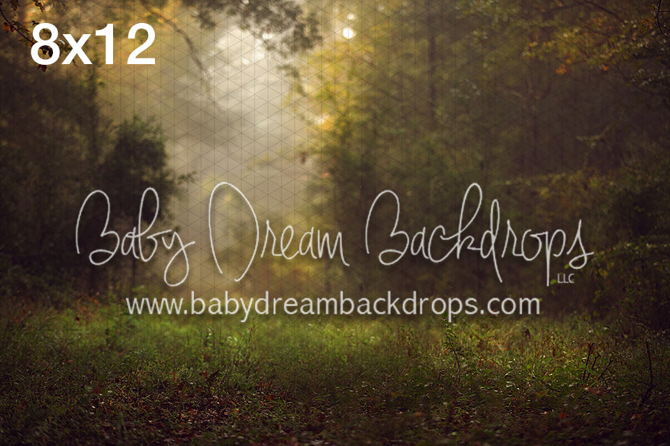 Whimsical Entry 8x12