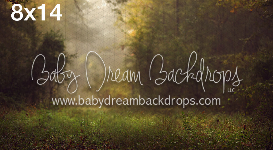 Whimsical Entry 8x14