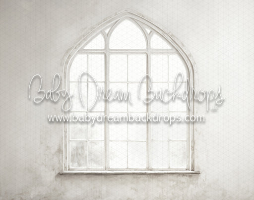 White Textured Wall 1 Window (MD)