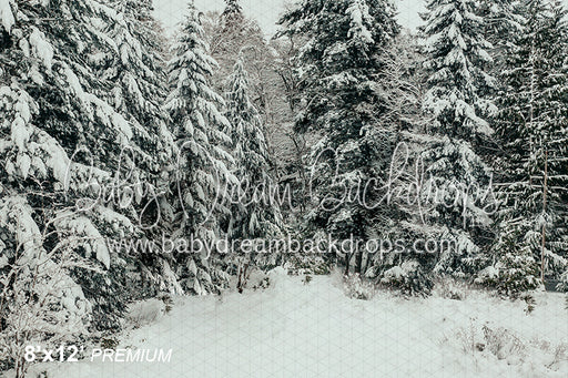 White Christmas (BC)