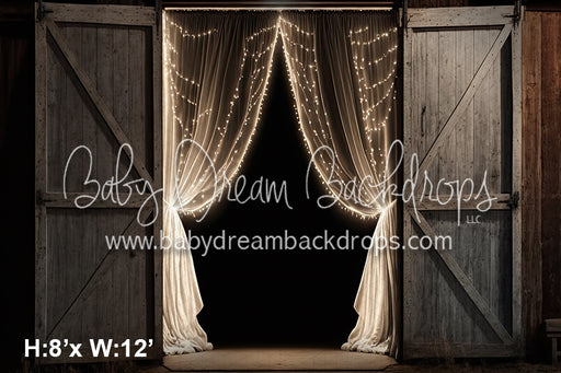 White Light Barn Door (SM)