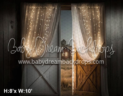 White Light Barn View Door (SM) 