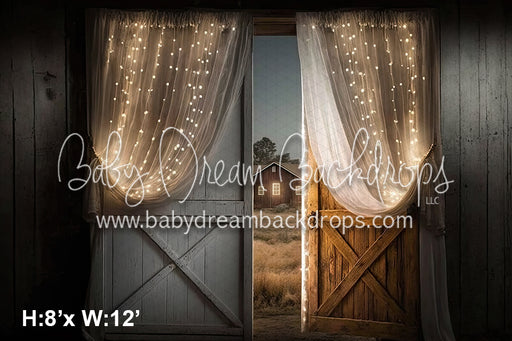 White Light Barn View Door (SM) 