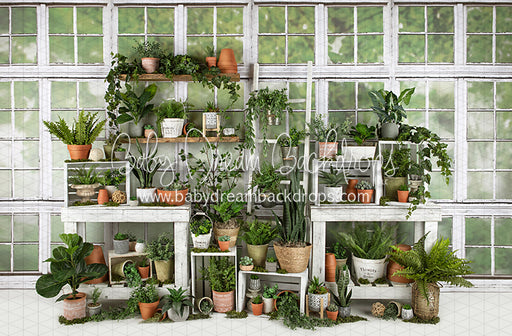 White Washed Green House