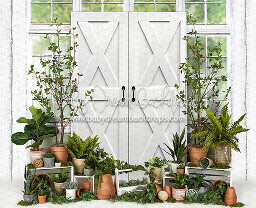 White Washed Green House Door