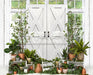 White Washed Green House Door