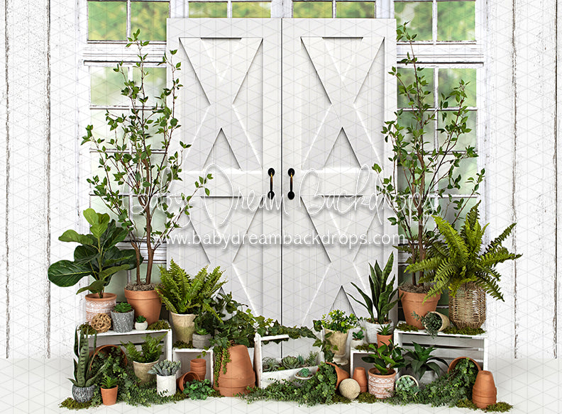 White Washed Green House Door