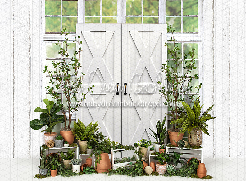 White Washed Green House Door