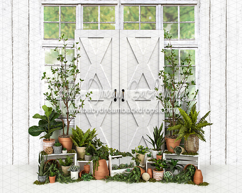 White Washed Green House Door