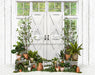 White Washed Green House Door