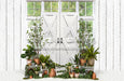White Washed Green House Door