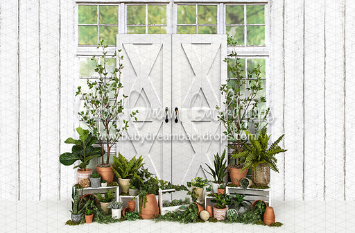 White Washed Green House Door