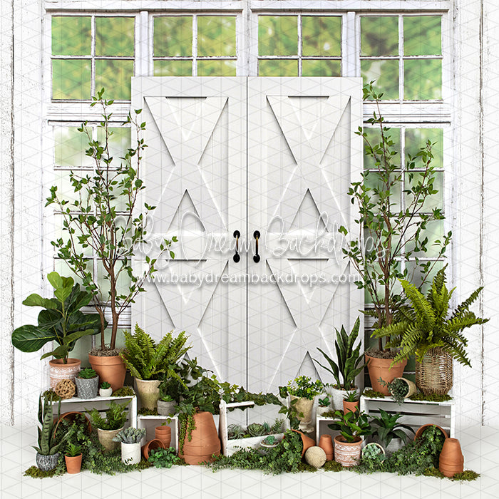 White Washed Green House Door