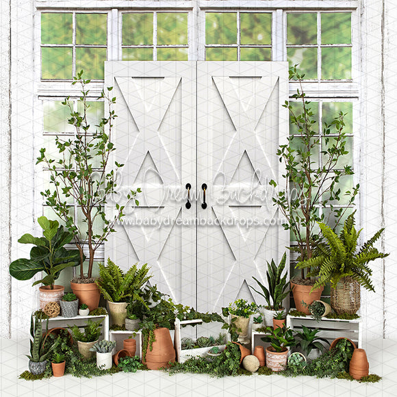 X Drop white washed green house door