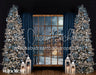 White and Blue Christmas Window (VR)