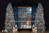White and Blue Christmas Window (VR)
