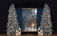 White and Blue Christmas Window (VR)