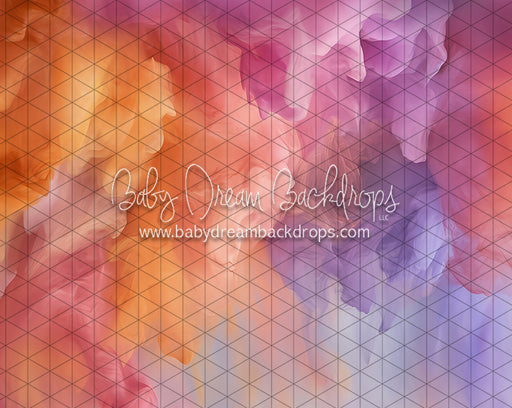 Wild Dreams Bottom (JA)